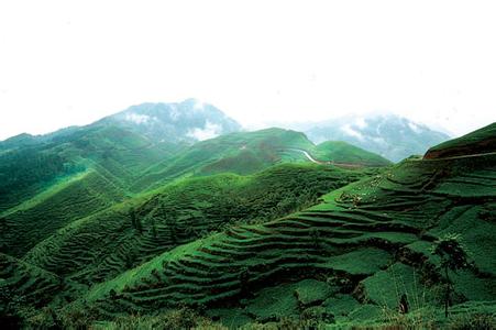 晴隆天气预报30天查询,晴隆县一个月天气