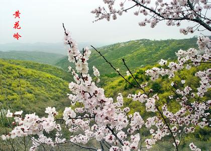 临汾安泽天气预报_安泽天气预报一周7天10天15天临汾安泽天气预报,安泽天气预报一周7天10天15天