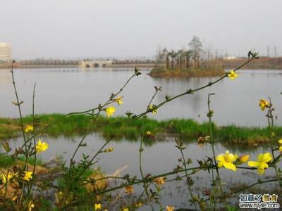 包头青山天气预报_青山天气预报一周7天10天15天包头青山天气预报,青山天气预报一周7天10天15天