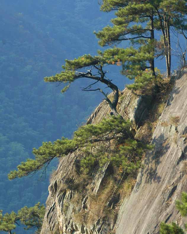 安吉大汉七十二峰天气