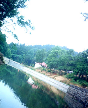 巢湖东庵森林公园 巢湖东庵森林公园