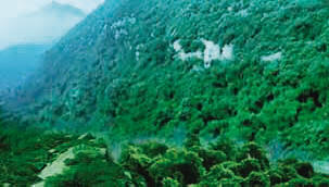 平山藤龙山原生态自然风景区天气