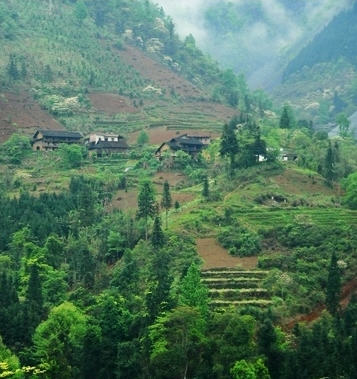 柳州九万山天气